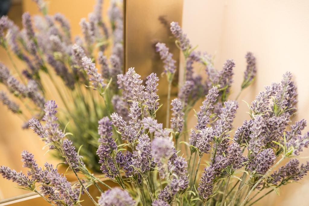 מאלינסקה Apartments & Rooms Milcetic M מראה חיצוני תמונה
