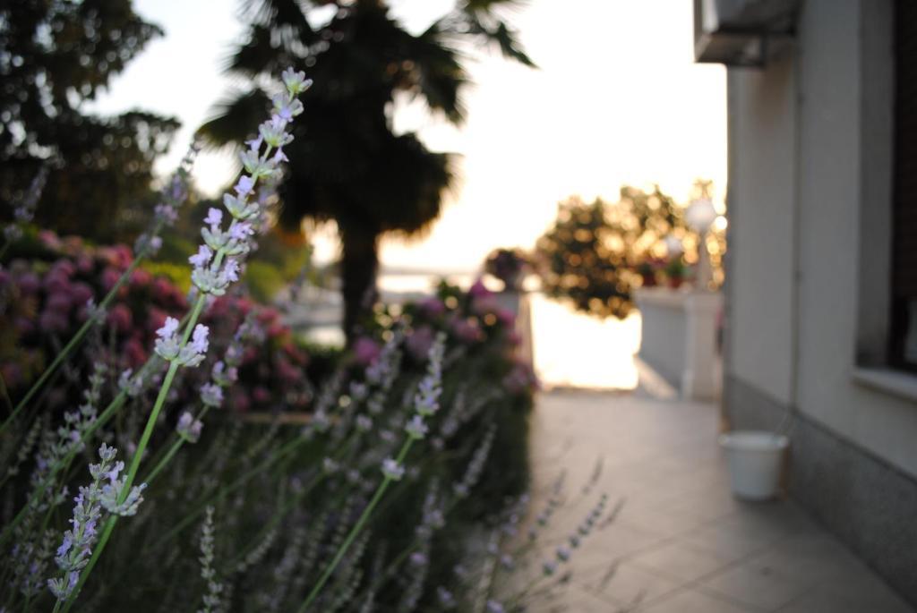 מאלינסקה Apartments & Rooms Milcetic M מראה חיצוני תמונה